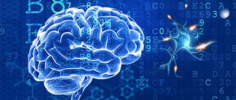 88天見(jiàn)證| AI賦能爆破1000萬(wàn)，醫真AI+生態(tài)初露鋒芒